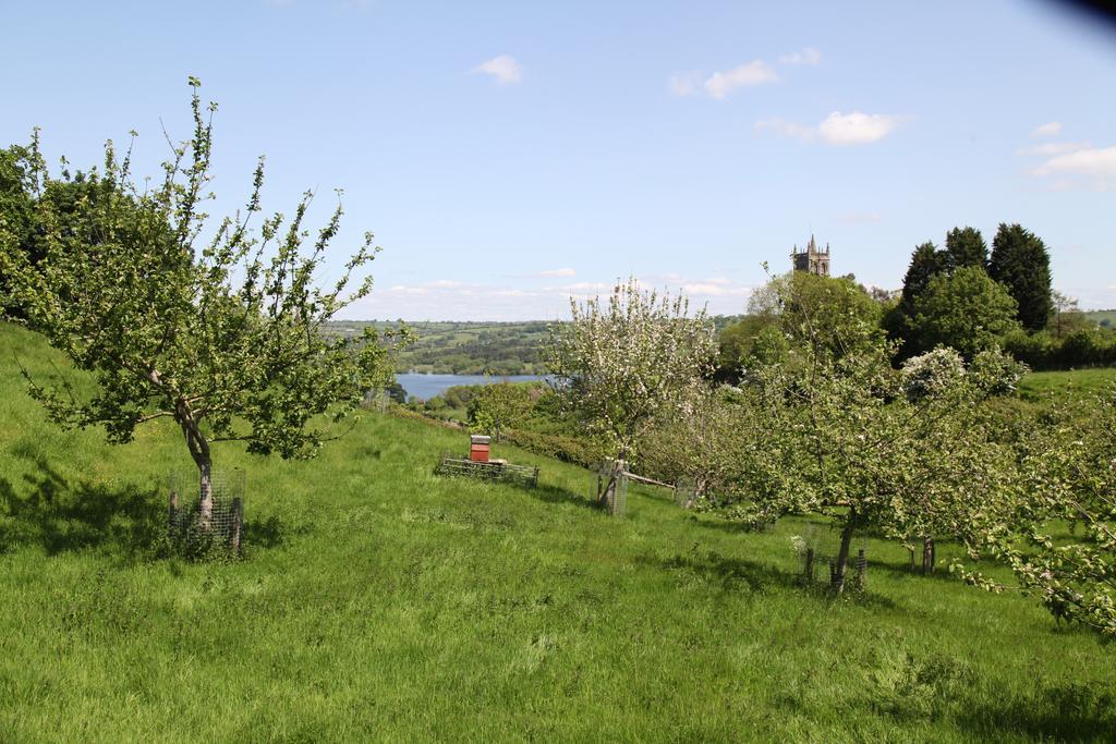 Готель The Seymour Arms Blagdon Екстер'єр фото